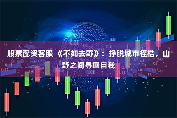 股票配资客服 《不如去野》：挣脱城市桎梏，山野之间寻回自我